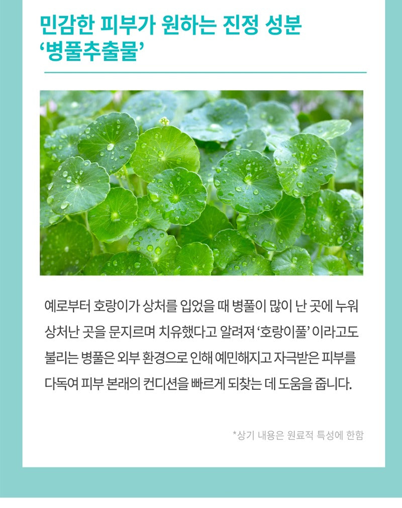 AHOHWA Vitamin K Cream 80g