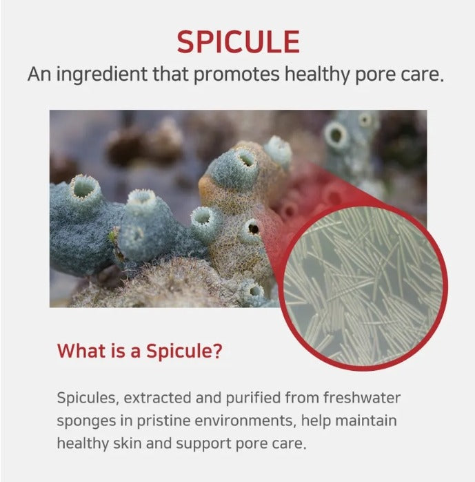 APLB Spicule Niacinamide Shot 260 Serum