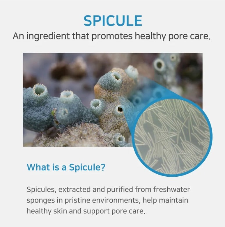 APLB Spicule Retinol Shot 180 Serum