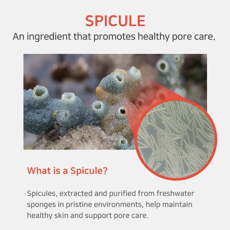 APLB Spicule Vitamin C Shot 220 Cream