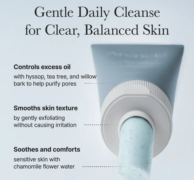 Arencia Hyssop Sebum Control Rice Cake Cleanser
