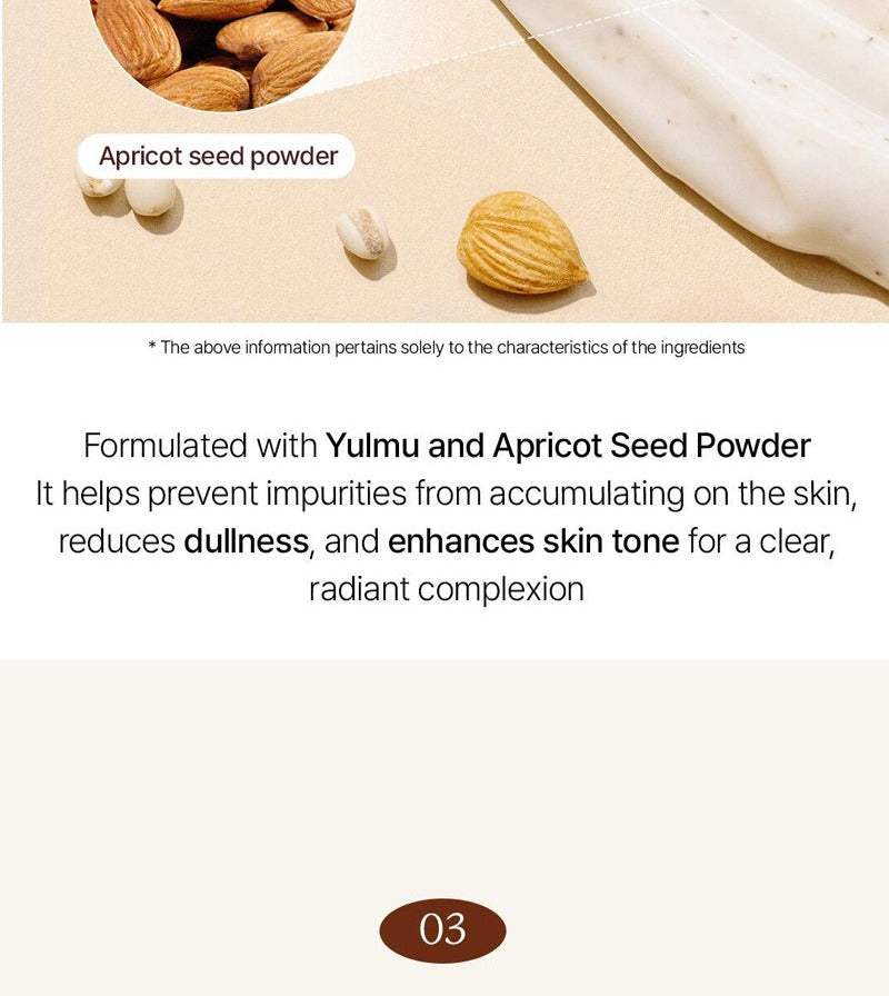 Ariul Skin Balance Wash-Off Mask Pack Yulmu Enzyme 100ml