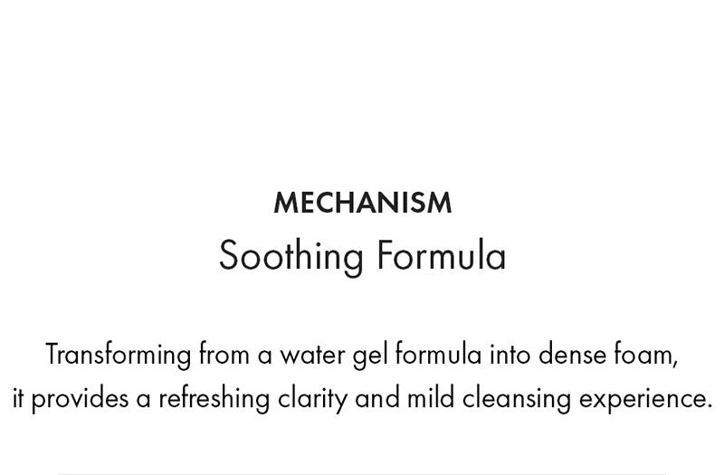 Dr.Ceuracle Pro Balance Soothing Cleansing Foam 150ml