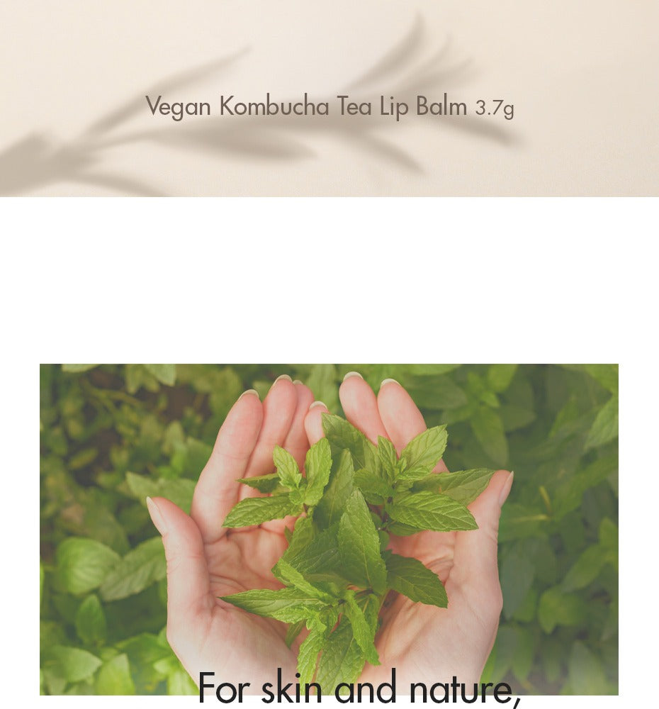 Dr.Ceuracle Vegan Kombucha Tea Lip Balm 3.7g