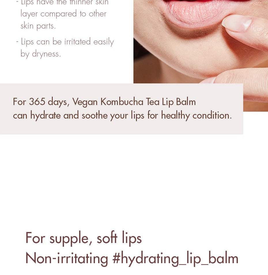 Dr.Ceuracle Vegan Kombucha Tea Lip Balm 3.7g