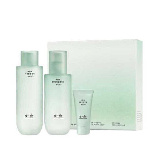 HANYUL Pure Artemisia Watery Calming Toner 150mL + Fluid 125mL Set