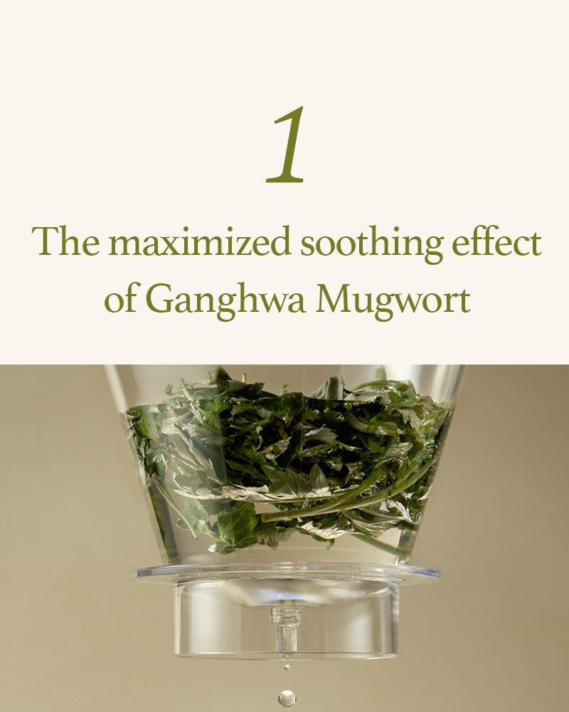 I'M FROM Mugwort Sheet Mask (10-Pack)