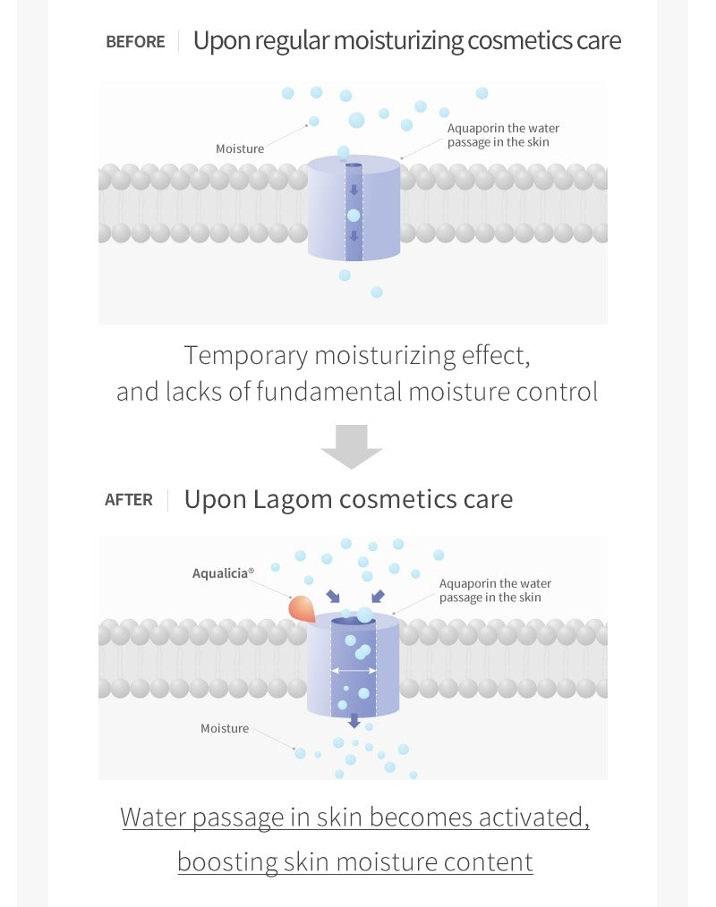 LAGOM Peptide Micro Needle Patch 4 pairs