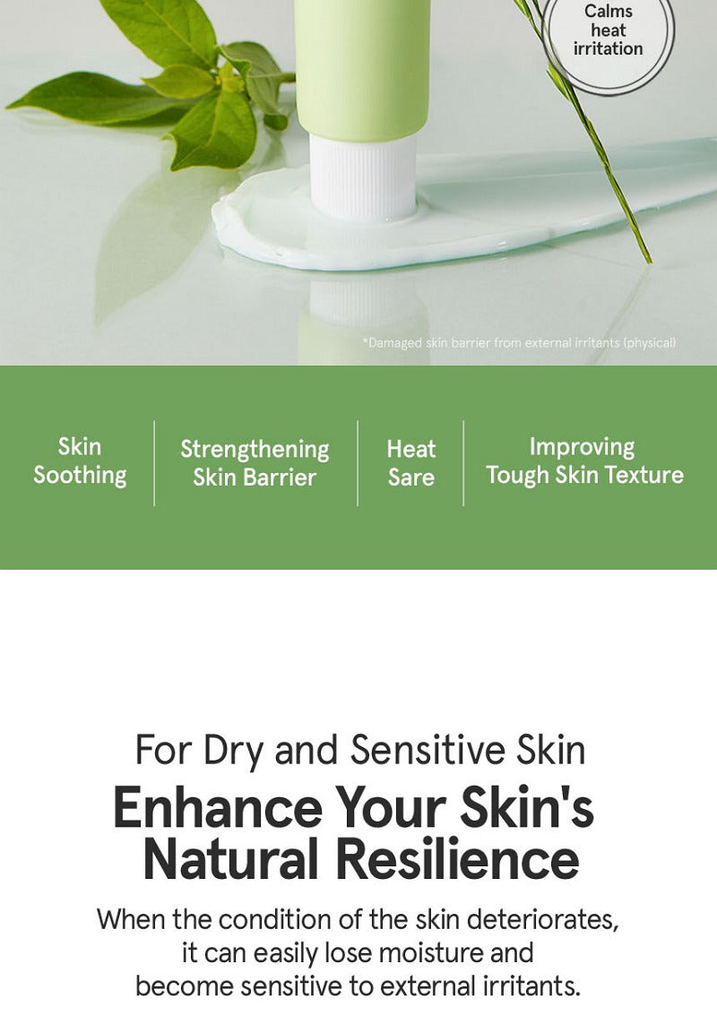 One Thing Cica B5 Cream 70ml