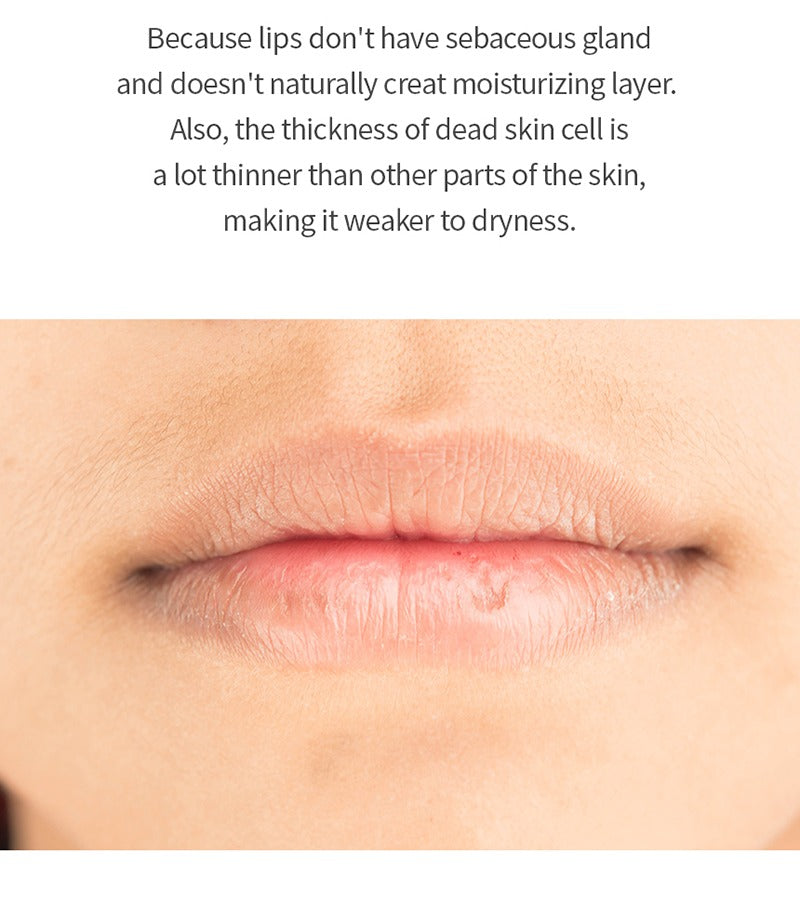 ONE THING Organic Oil Lip Essence 13g