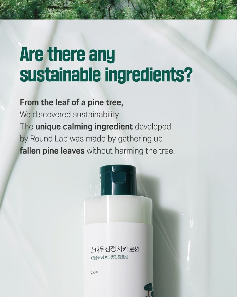 ROUND LAB Pine Calming Cica Lotion 250ml