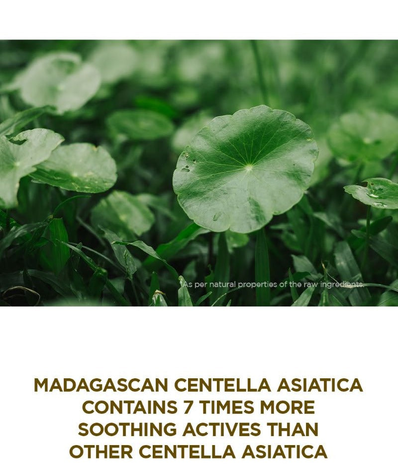 SKIN1004 Madagascar Centella Ampoule 55ml