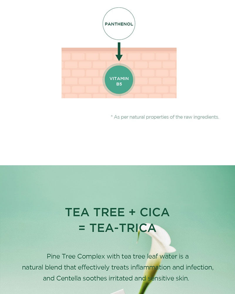 SKIN1004 Madagascar Centella Tea-Trica B5 Cream 75ml