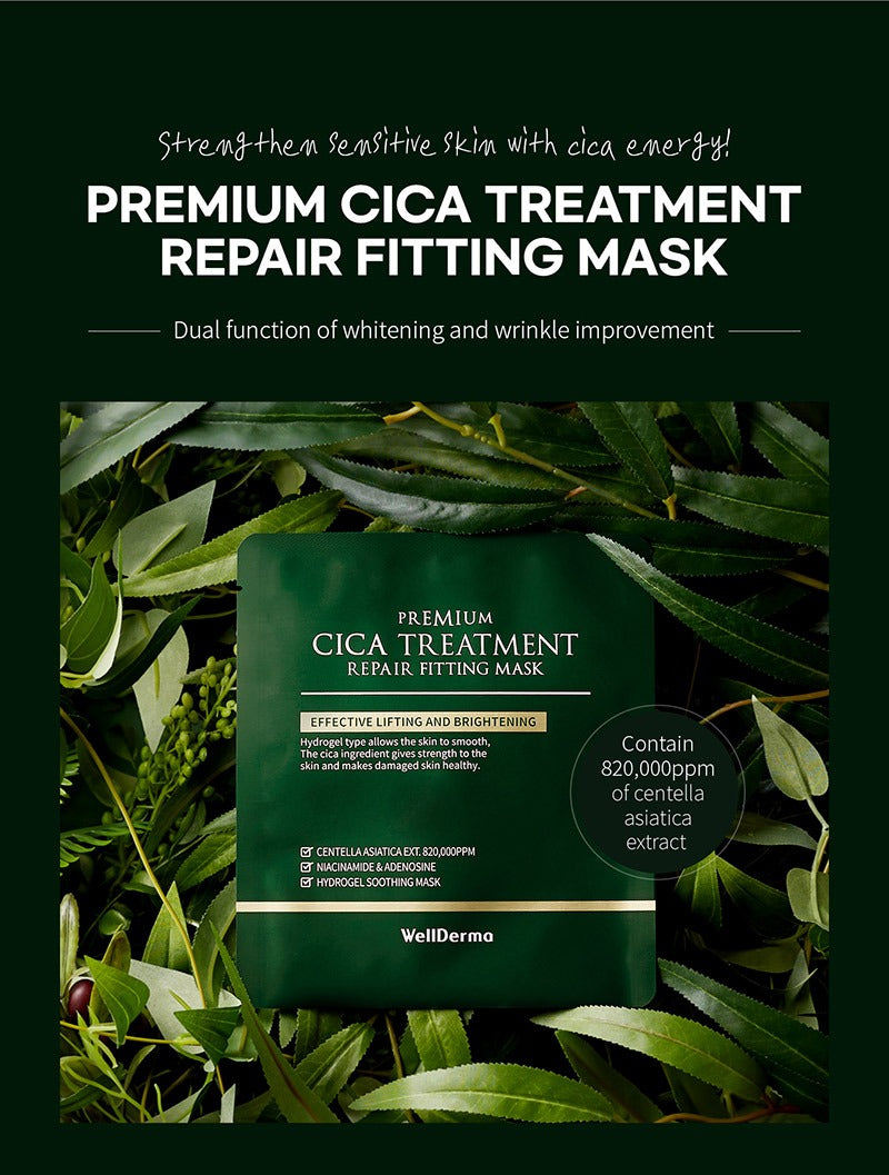 WellDerma Premium Cica Treatment Repair Fitting Mask 4 sheets