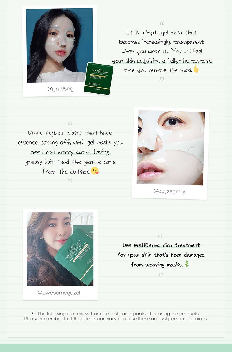 WellDerma Premium Cica Treatment Repair Fitting Mask 4 sheets