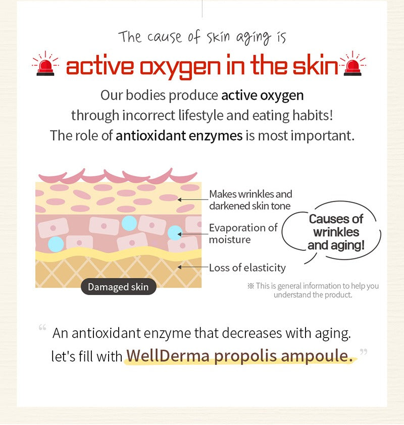 WellDerma Propolis 1000 Energy Ampoule 50ml