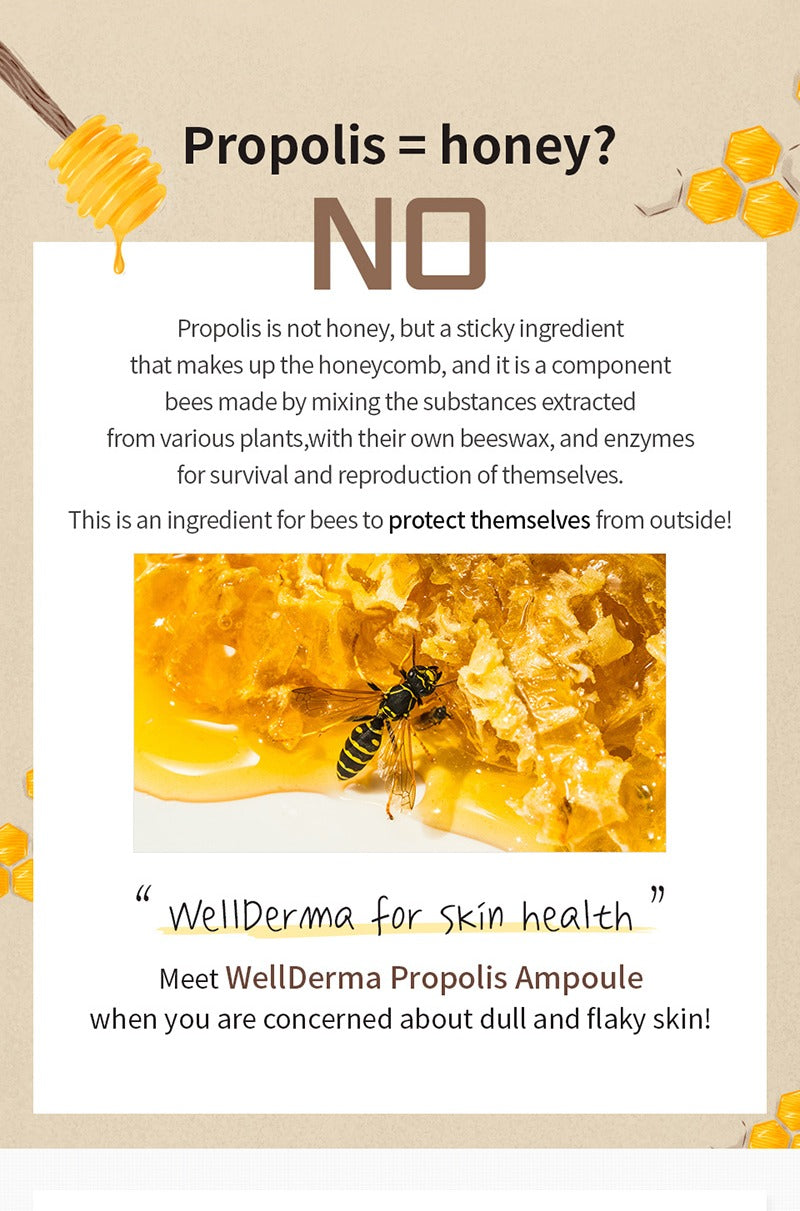 WellDerma Propolis 1000 Energy Ampoule 50ml