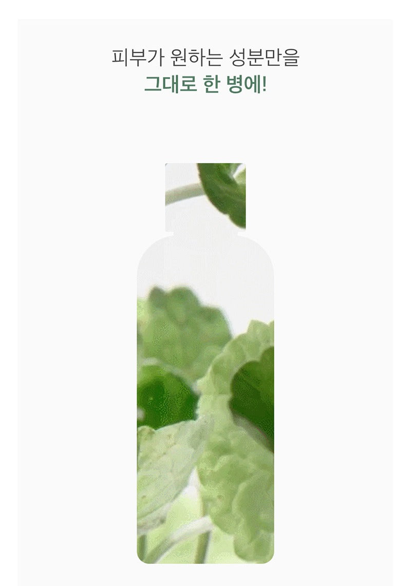 mixsoon Centella Asiatica Toner 300ml