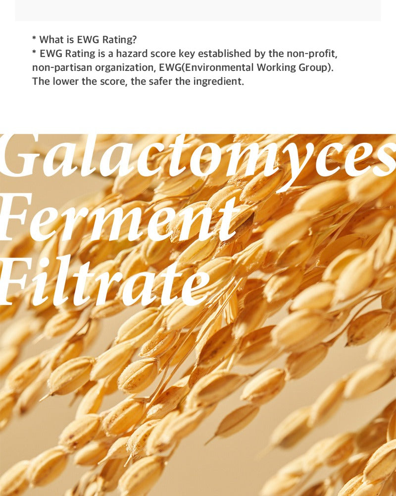 mixsoon Galactomyces Ferment Essence 100ml