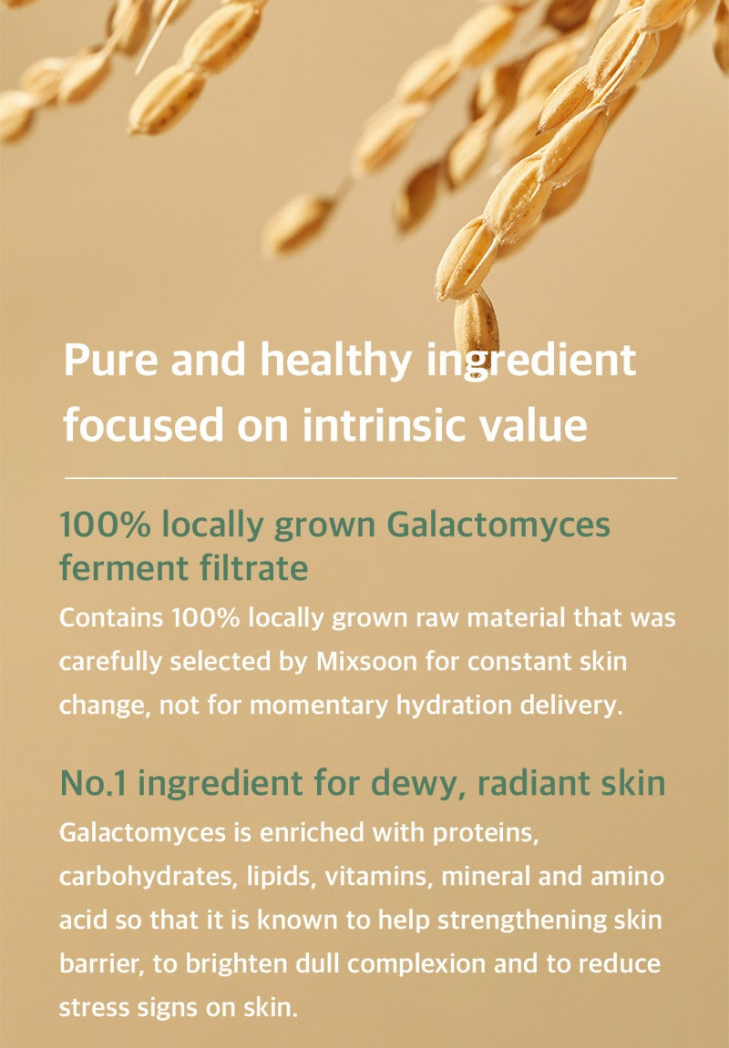 mixsoon Galactomyces Ferment Essence 100ml